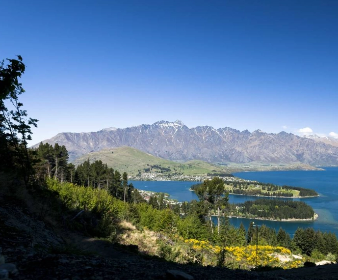 New Zealand Tours for Over 50s: A Guide to Comfort, Culture & Scenic Beauty