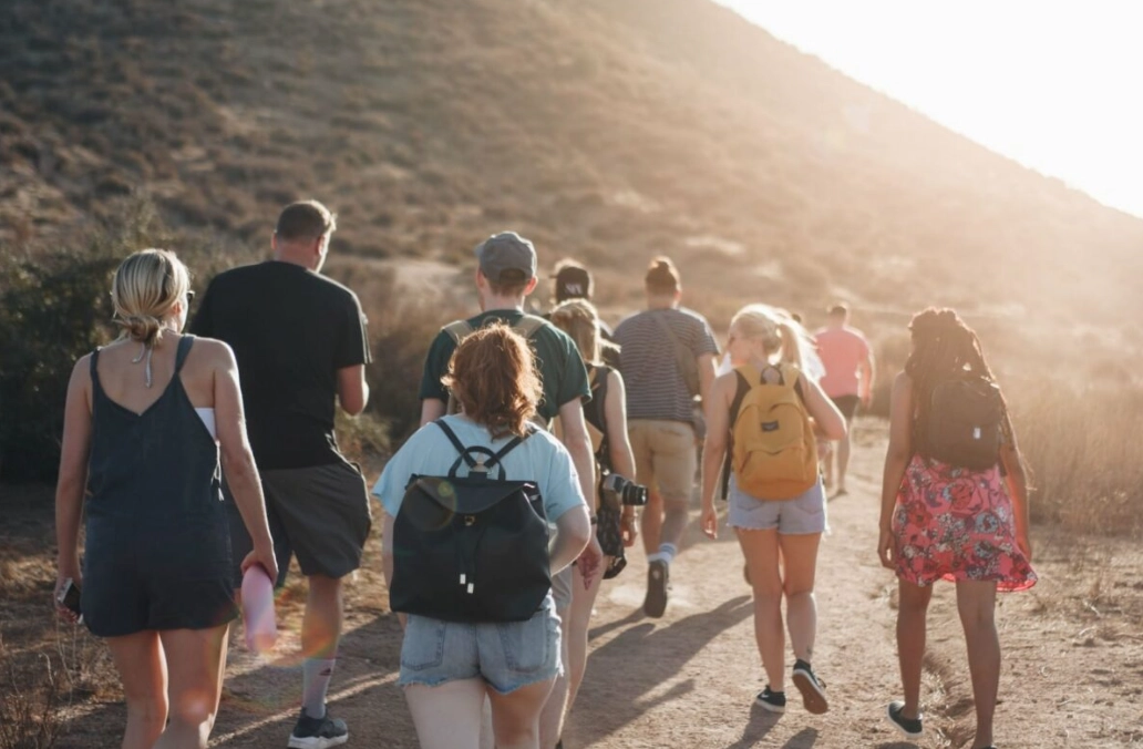 best guided tours New Zealand