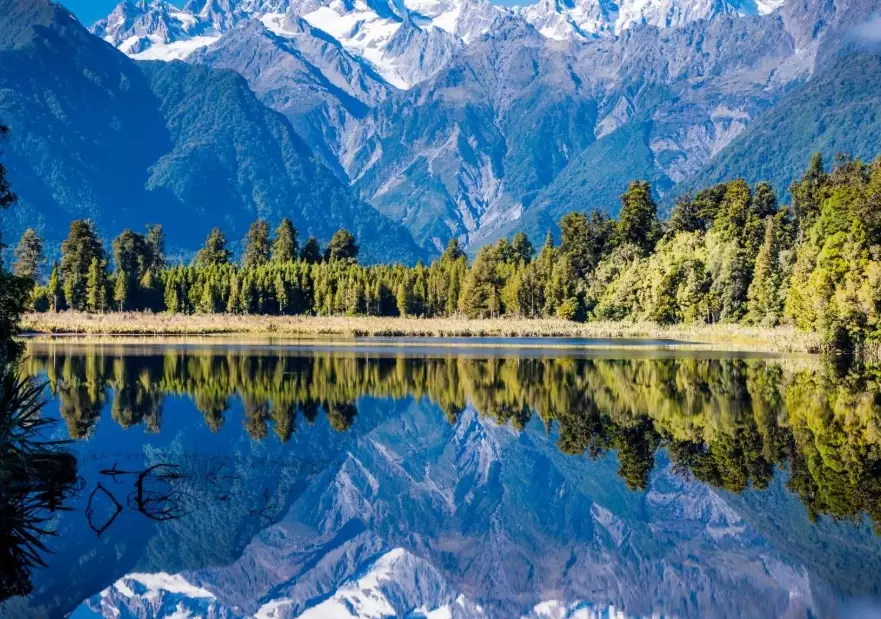 top things to do in New Zealand