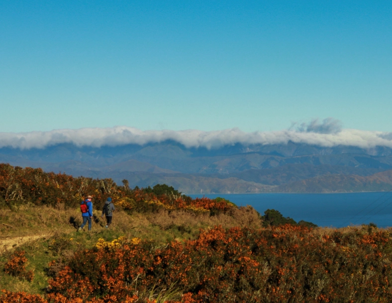 New Zealand travel guide