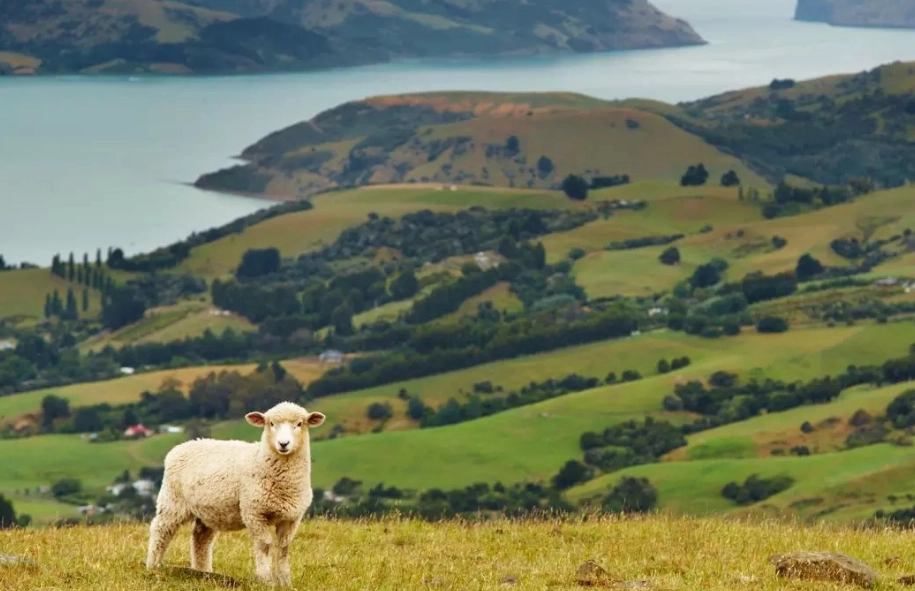overtourism New Zealand overtourism New Zealand