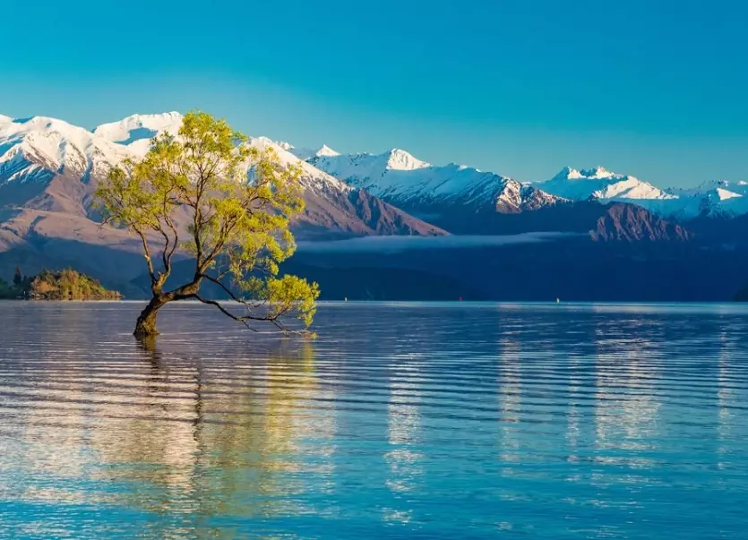 Is 7 Days in New Zealand Enough? A Realistic Itinerary & Guide