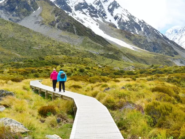 Is November a Good Time to Visit New Zealand? Spring Travel Guide