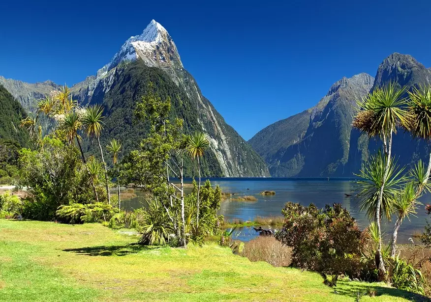 one week in New Zealand