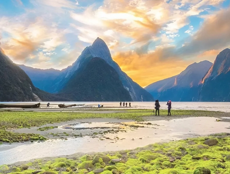 New Zealand budget travel