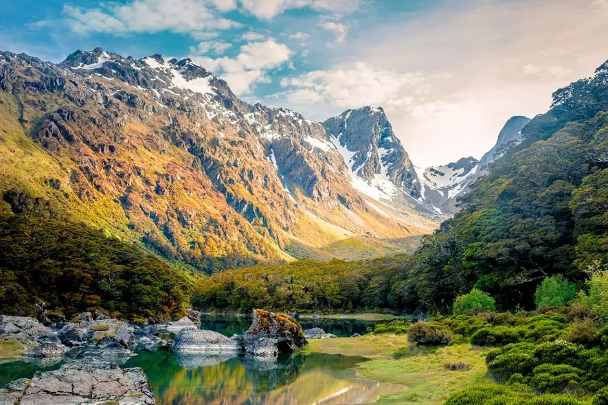 Worst Time to Visit New Zealand: Months to Avoid & Why