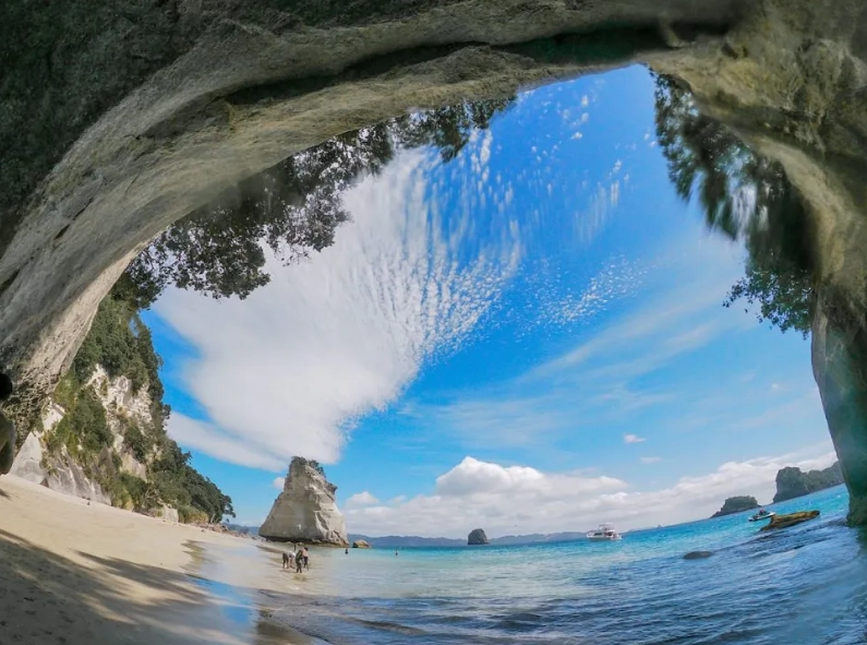 Best Time to Visit New Zealand North Island: Seasonal Guide & Tips