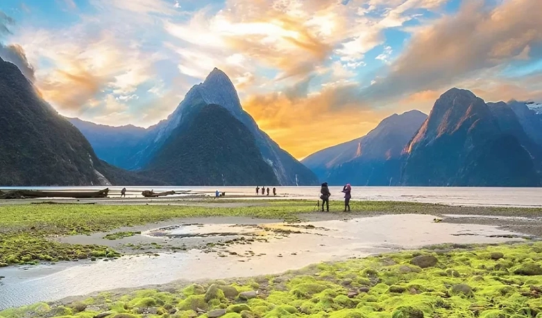 cheapest time to visit new zealand