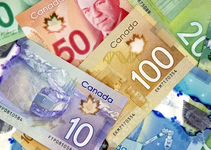 Using US Dollars in New Zealand: A Traveler's Practical Guide