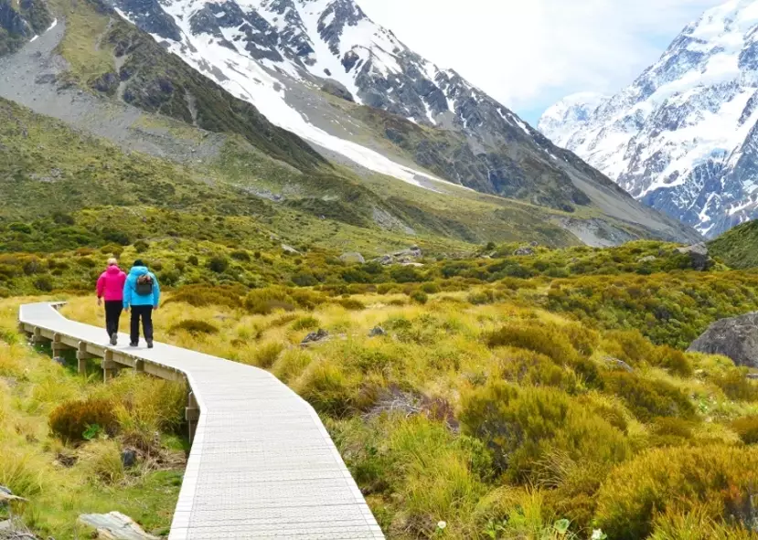 new zealand budget travel