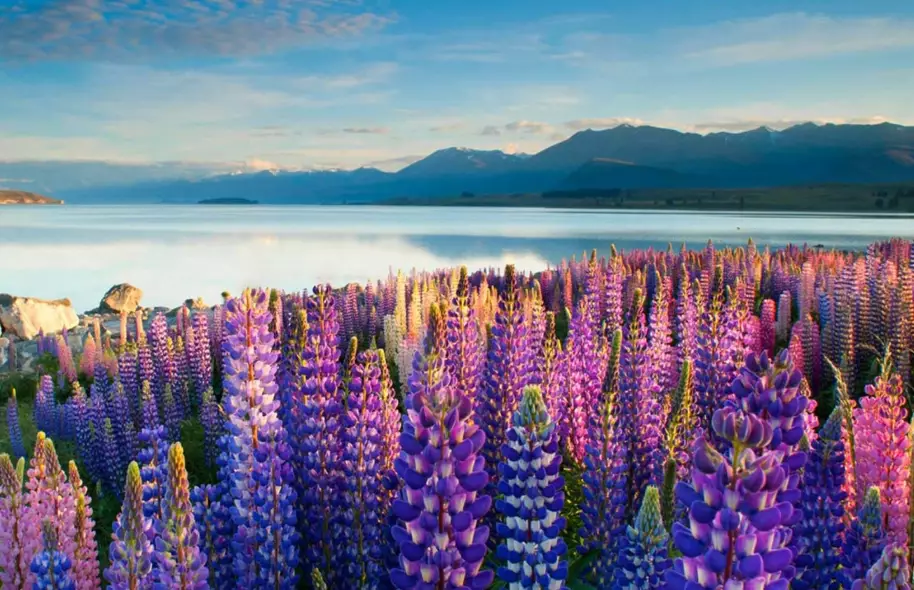 best time to visit New Zealand