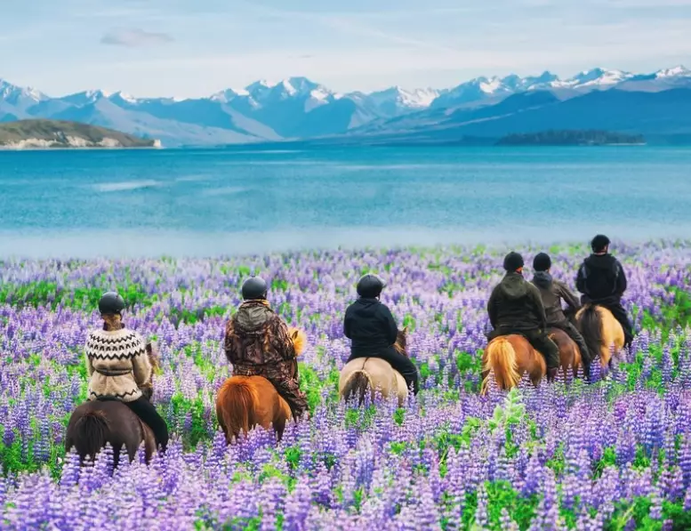 New Zealand travel seasons