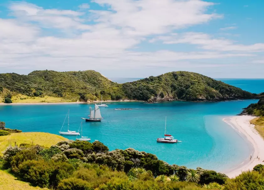 travel to New Zealand 2024