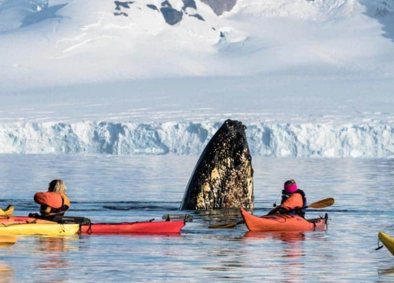 best time to go to antarctica