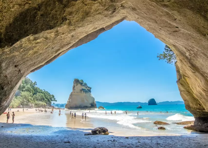 Best Family-Friendly Destinations in New Zealand: A Complete Guide