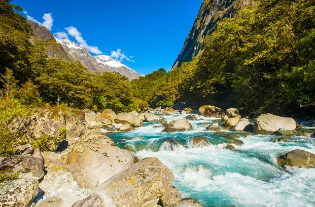 New Zealand travel from USA