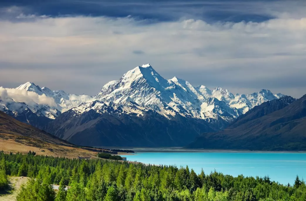 American tourists in New Zealand