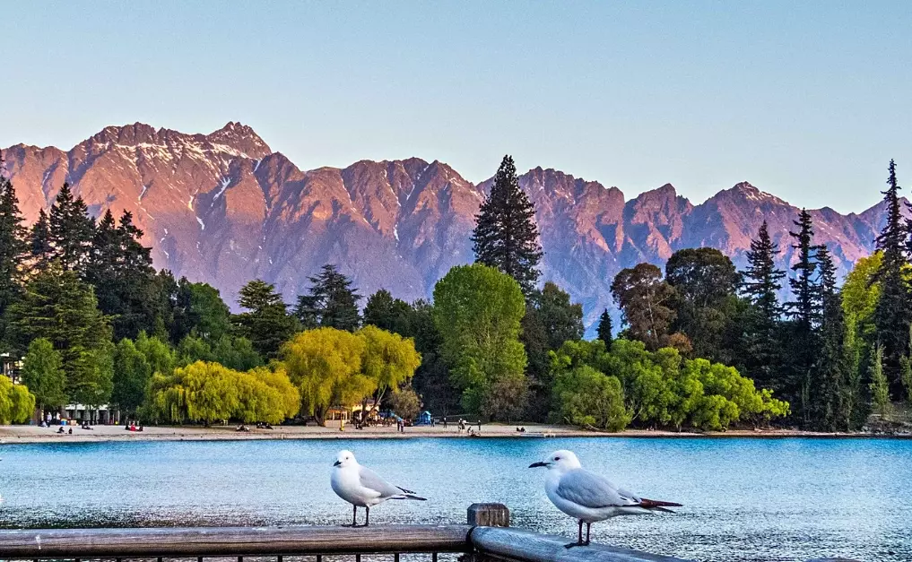 US New Zealand relations