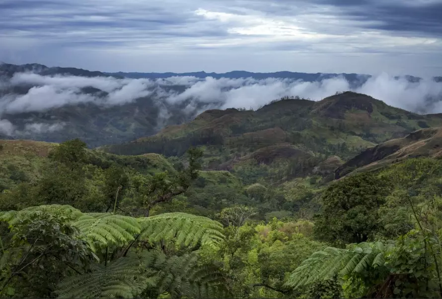 Fiji rainy season