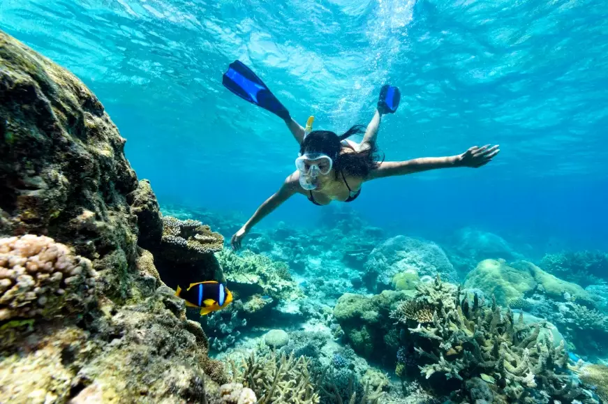best time to snorkel in Fiji best time to snorkel in Fiji