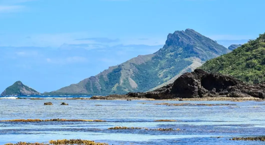 Fiji travel guide Fiji travel guide