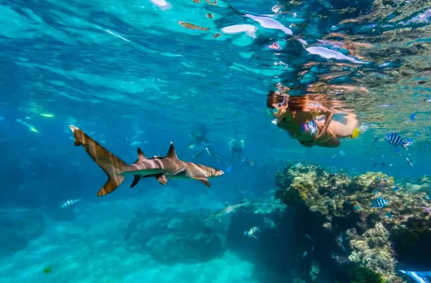 Fiji snorkeling season Fiji snorkeling season