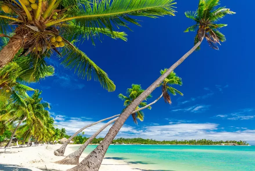 Fiji travel from USA