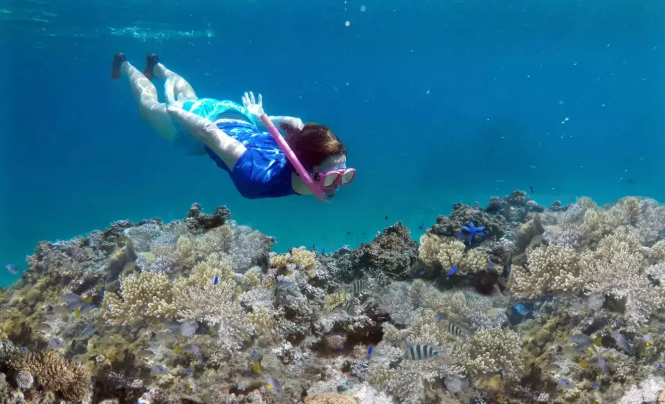 Best Time to Visit Fiji for Snorkeling: A Month-by-Month Guide