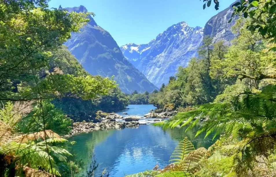 cost of living New Zealand