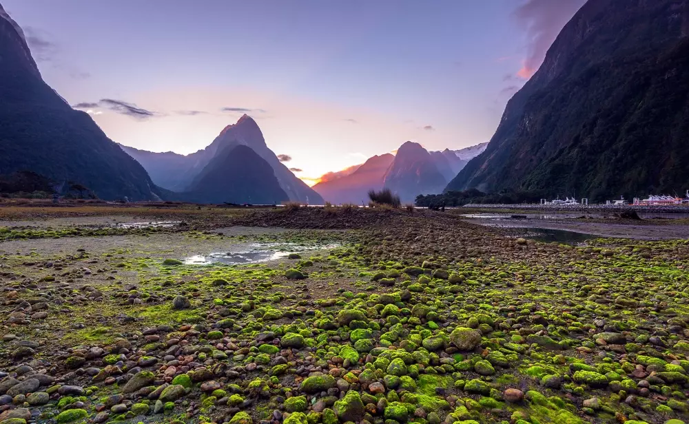 Is New Zealand expensive