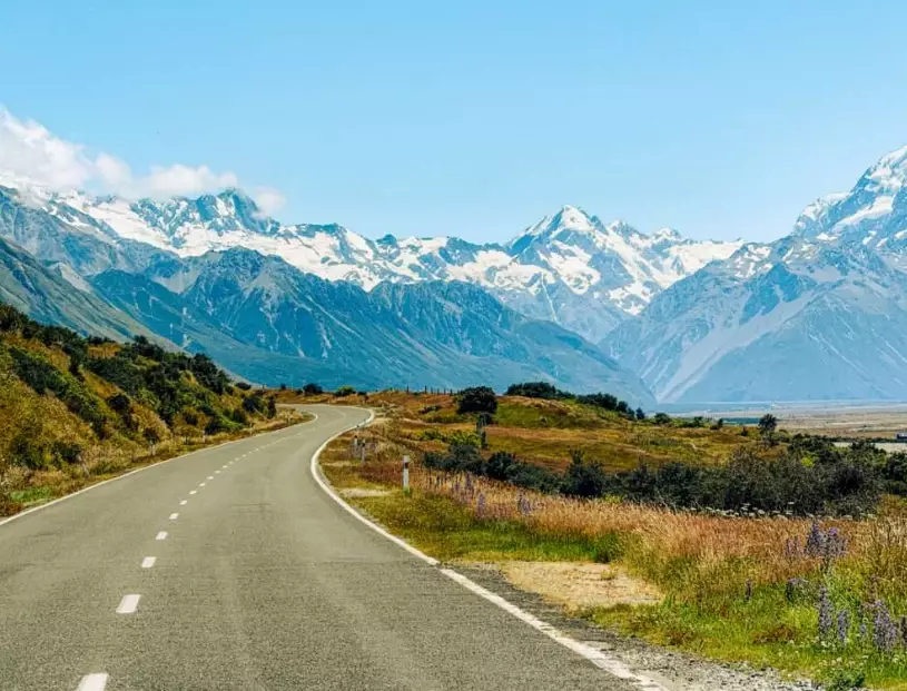 safety in New Zealand safety in New Zealand