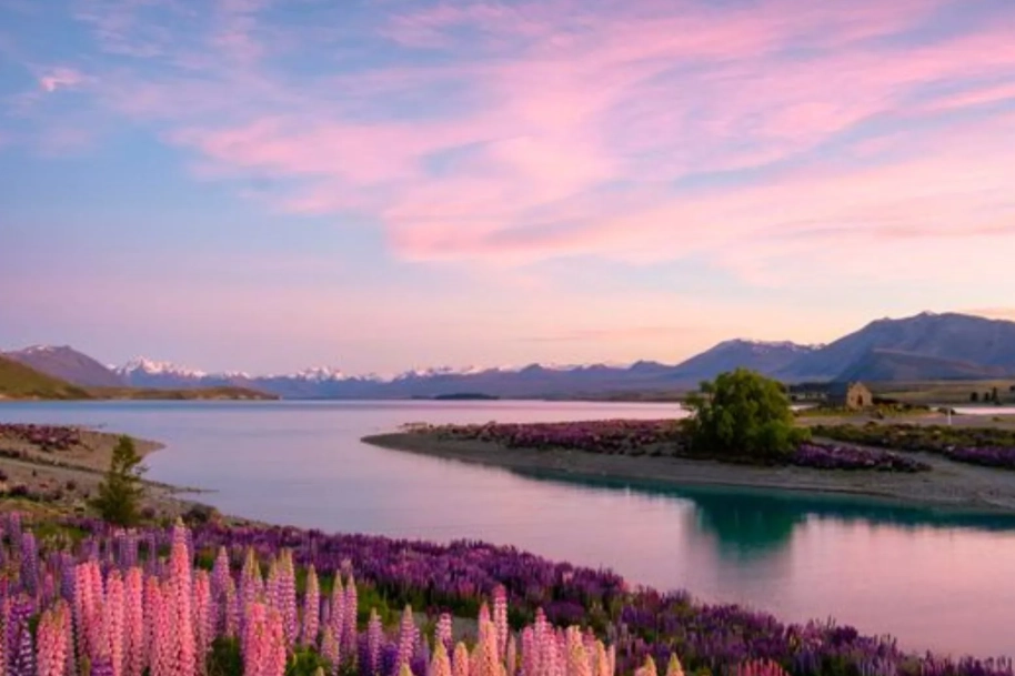 things to do in New Zealand things to do in New Zealand